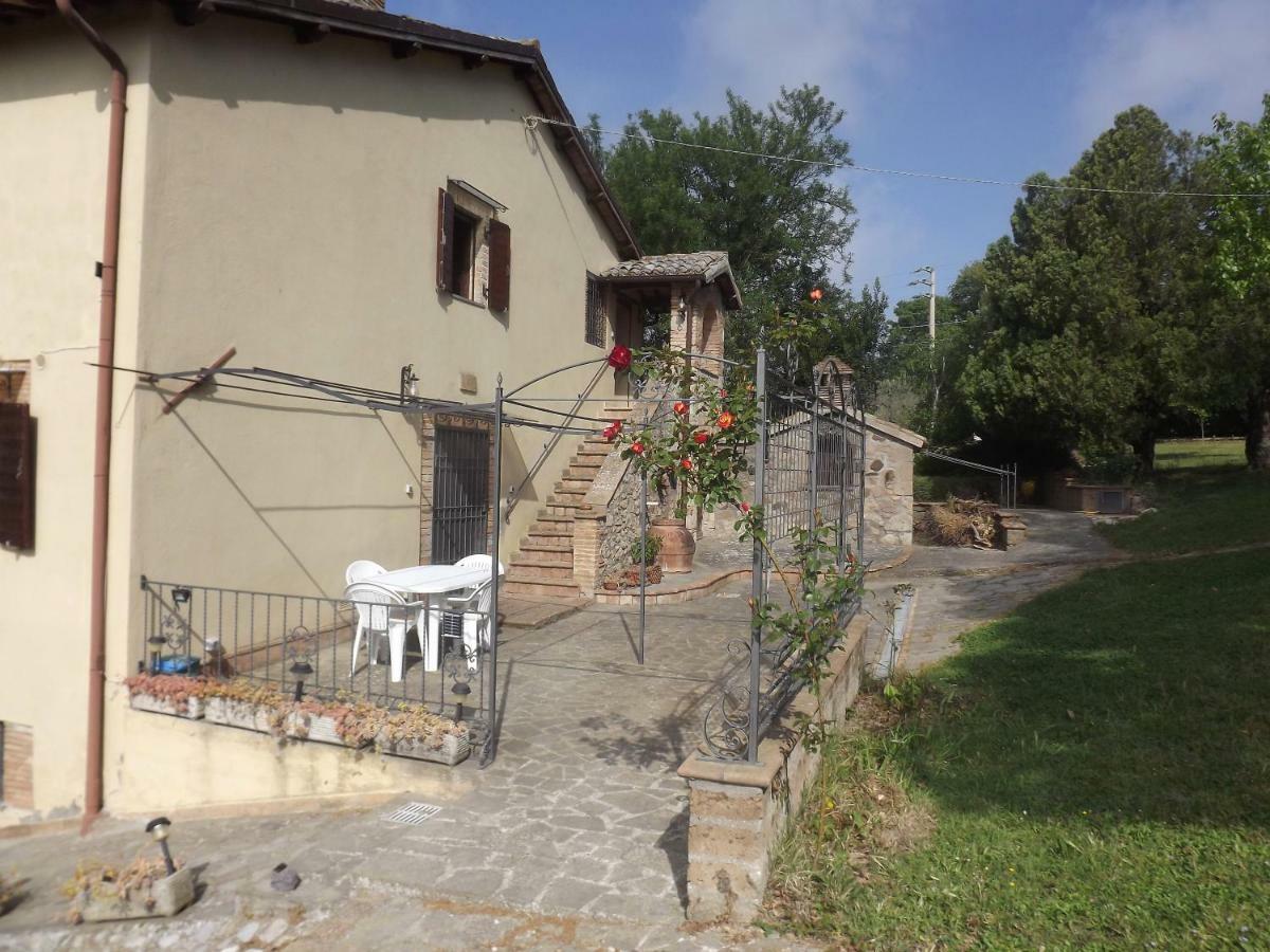 La Casetta Dei Gelsi Civitella dʼAgliano Extérieur photo